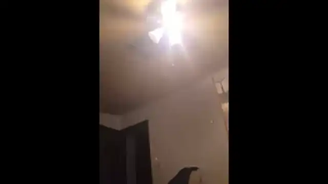 Clevername90 online show from 25, 11, 2025