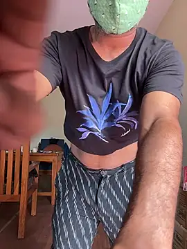 Snapshot of syntaxbear chatting on 15, 6, 2026 syntaxbear online show from 15, 6, 2026