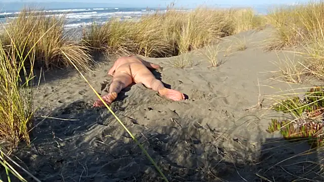 dog-naked online show from 30, 11, 2025