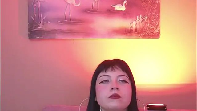 Amy darki online show from 29, 5, 2026