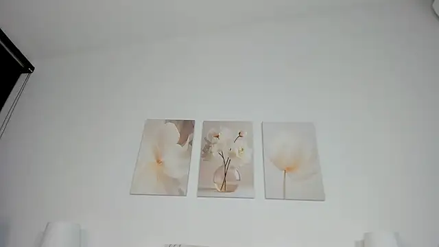 burning diamond   online show from 7, 7, 2026
