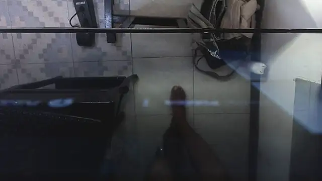 AshleySofiaThenison online show from 29, 5, 2026