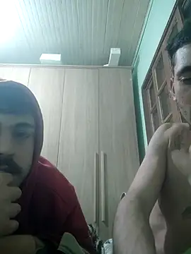 HAVY oficial online show from 4, 7, 2026