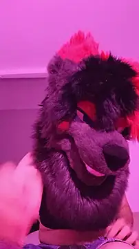 Snapshot of RadPawz_furry chatting on 18, 7, 2026 RadPawz furry online show from 18, 7, 2026
