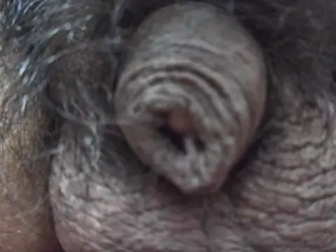 indiboy009 online show from 7, 3, 2025