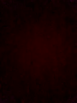 pricilanunes online show from 19, 6, 2026