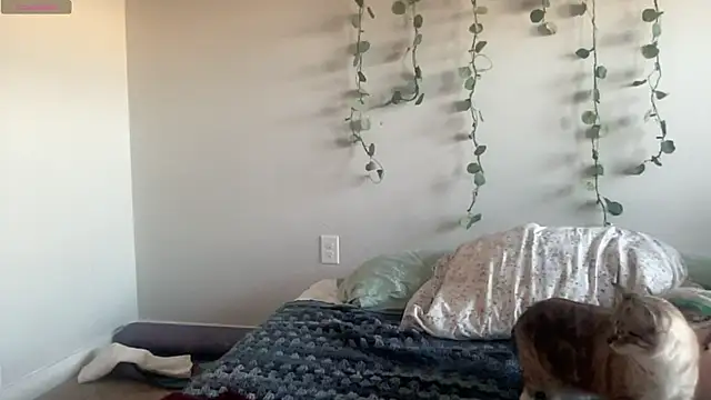 maddiliz online show from 27, 11, 2025