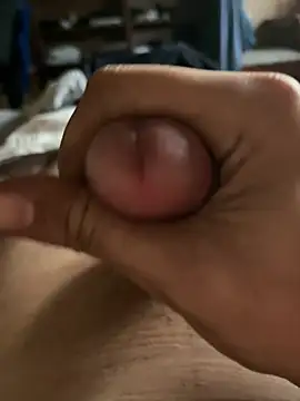 youngdick2113 online show from 23, 7, 2026