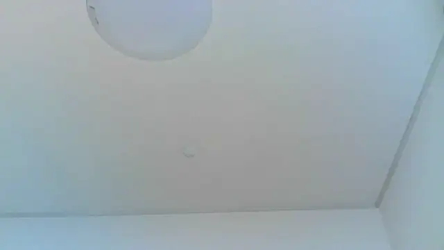 Snapshot of yoci0101 chatting on 29, 6, 2026 yoci0101 online show from 29, 6, 2026