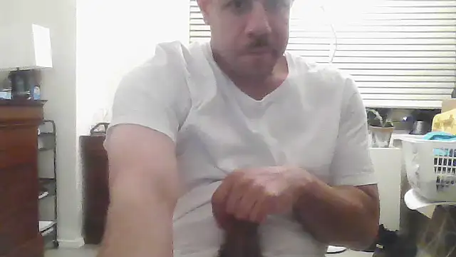 toosexy4myshirt online show from 13, 7, 2026