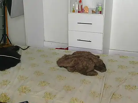 SexyLi  online show from 30, 7, 2026