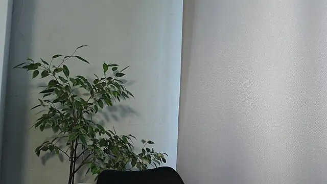MariaTravel online show from 24, 7, 2026