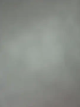 Rabbit-Cute online show from 5, 8, 2026