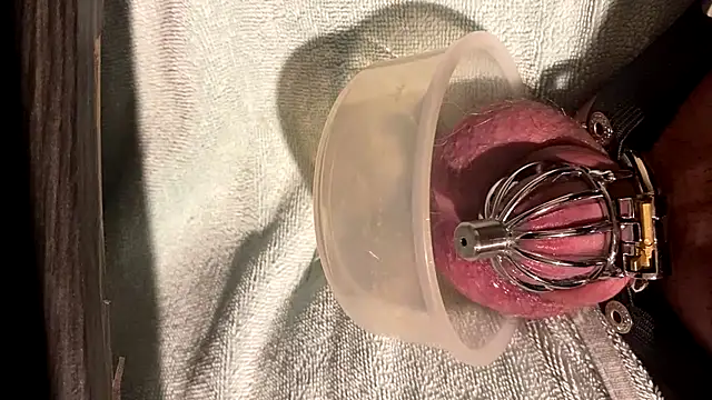Chastitysissy07 online show from 20, 6, 2026