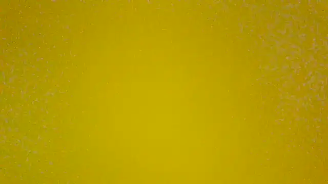Snapshot of PinguinaTraviesa chatting on 19, 6, 2026 PinguinaTraviesa online show from 19, 6, 2026