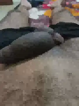 Daddycock 24 online show from 20, 6, 2026