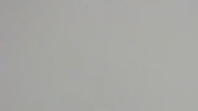 arianagreenn online show from 2, 7, 2026