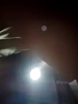 Moon squirtt online show from 7, 7, 2026