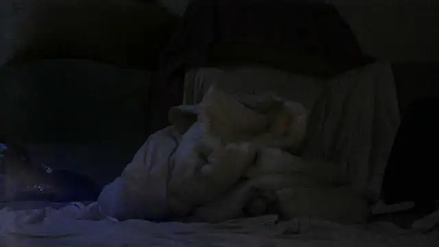 GariQNight online show from 24, 3, 2026