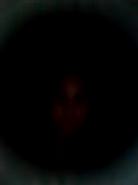 carla 69x online show from 4, 7, 2026