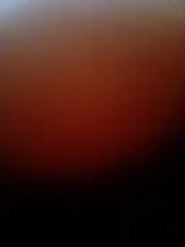 Xxx69sky online show from 5, 7, 2026