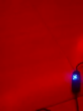 DuskElena online show from 16, 7, 2026