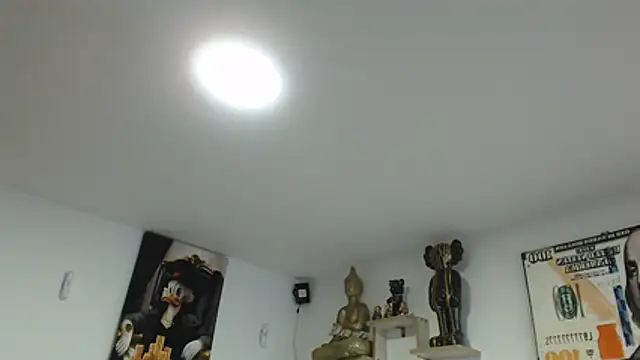 Novaluxee online show from 21, 7, 2026