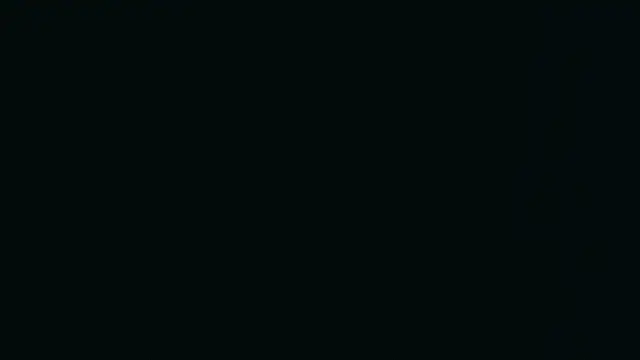 XantheBloom online show from 17, 7, 2026