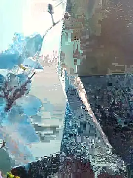 supreme boys online show from 22, 7, 2026