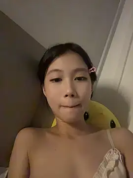 like-QQ online show from 28, 7, 2026