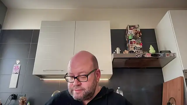 theitalianbear online show from 4, 4, 2026