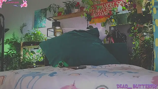 Dead Butterfly online show from 14, 3, 2025