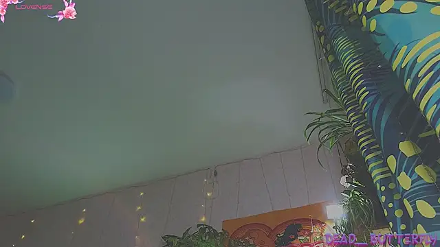 Dead Butterfly online show from 31, 1, 2025