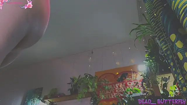 Dead Butterfly online show from 8, 2, 2025