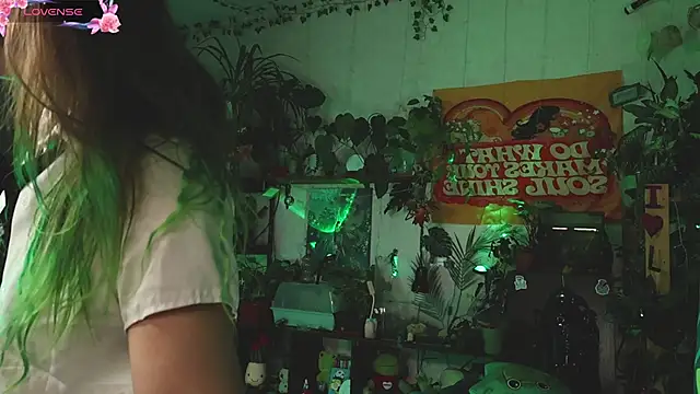 Dead Butterfly online show from 2, 11, 2025