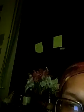 Snapshot of Meth_Hoe chatting on 1, 2, 2026 Meth Hoe online show from 1, 2, 2026