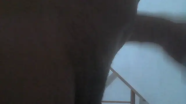 el principe hot online show from 28, 11, 2025