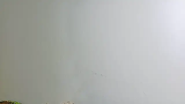 irisconde online show from 16, 12, 2025