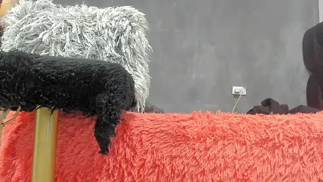 SandraGoldstein online show from 13, 3, 2026