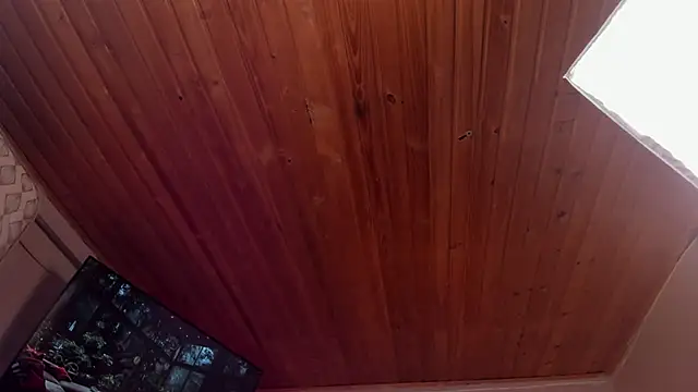 coraline latin online show from 27, 2, 2025