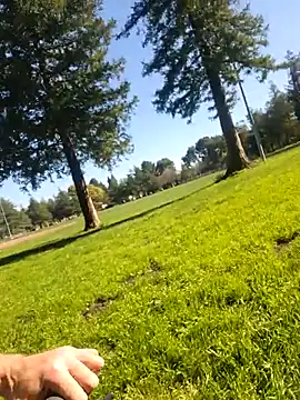 415cali925 online show from 11, 3, 2026