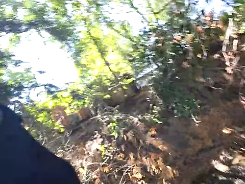 415cali925 online show from 14, 9, 2025