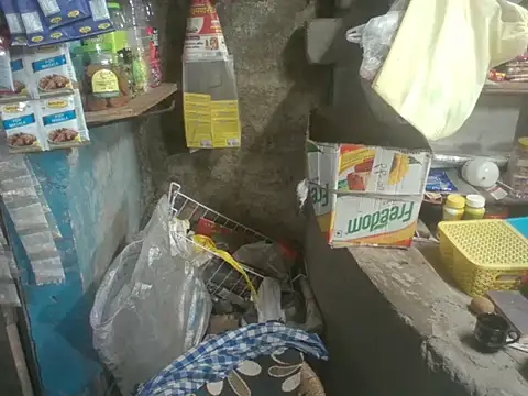 FriskyGender online show from 29, 10, 2025