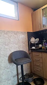 rposhta1991 online show from 14, 3, 2026