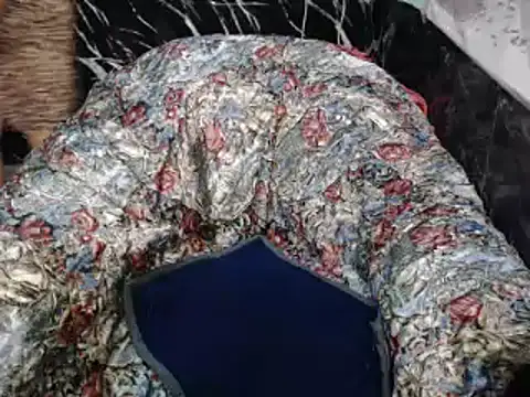 Snapshot of ASIANDOLLY4U chatting on 2, 2, 2026 ASIANDOLLY4U online show from 2, 2, 2026