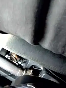 Snapshot of LifeLineSL chatting on 4, 3, 2026 LifeLineSL online show from 4, 3, 2026