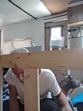 Biknight online show from 24, 3, 2026