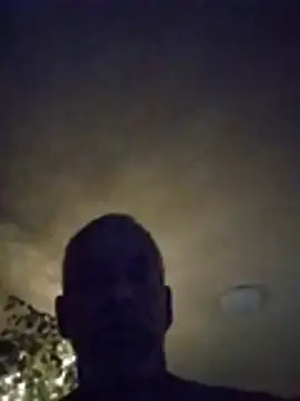 Biknight online show from 18, 3, 2026