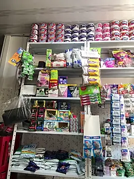 emilyjohanson online show from 17, 12, 2025