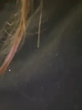 Jane BBW online show from 1, 10, 2025